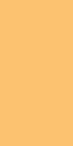 1677498718.mustard g01