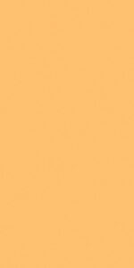 1677499337.mustard m10