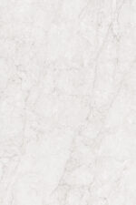 1679478433.-white-r1