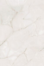 1679480073.-white-r1