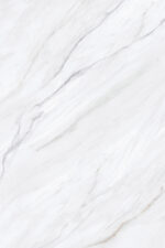 1679482002.-white-r1