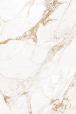 1679482117.-gold-r1