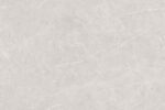 1732084378.forza gris (1)