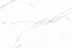 1732109037.litos bianco (1)