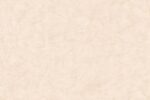 1732256403.ravena beige (1)