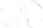 1732259876.rocco pearl (1)