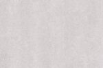 1734349970.brunei grey