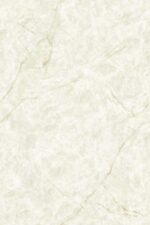 1741174717.-denver-olive-r1-copy