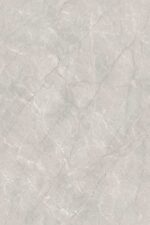 1741174930.-epross-silver-r1-copy