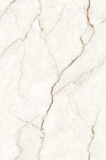 1741175204.-nexus-ice-r1-copy