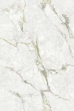 1741175273.-tessino-verde-r1-copy