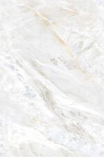 1741175373.-wonder-motley-r1