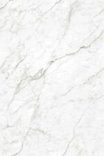 1741176010.-astor-verde-r1-copy