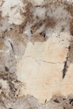 1741176654.-petris-r1