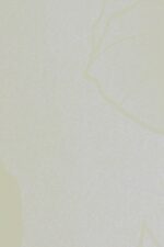 4b6601c5e0ba93dfc3b2a4cfc252e4cc