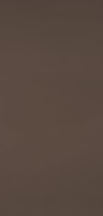 Maddy Mushroom-172 HG