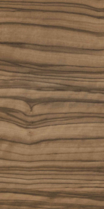 Sevilla Olive-3788 NH