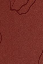 db488f72d431cc7a8e5b8ad1dafab250