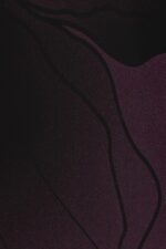 e64a754cac37d69408a2bf05dd7e588b