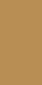 137_SUD_Mustard_1_1