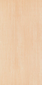 701-Rising-Beech-SUD