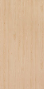 719-Mangfall-Beech-_SUD_