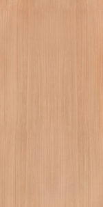 728-European-White-Elm-SUD