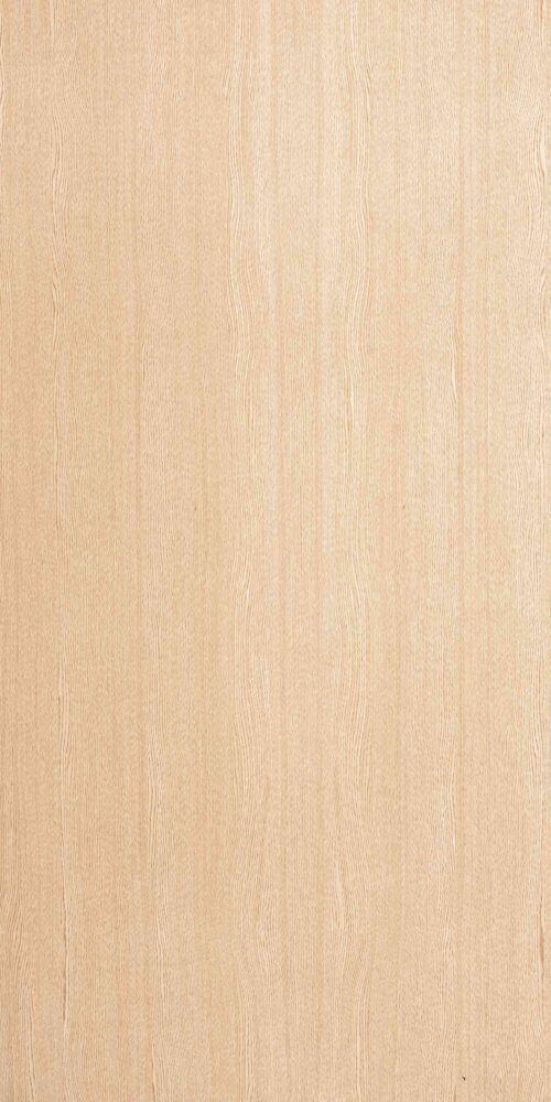 Atlantic Ash-FA05