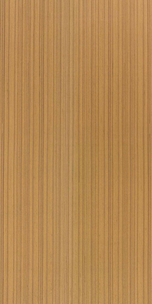 Blonde Streaks-T861 (1)