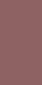 British Rose-3146 ZM