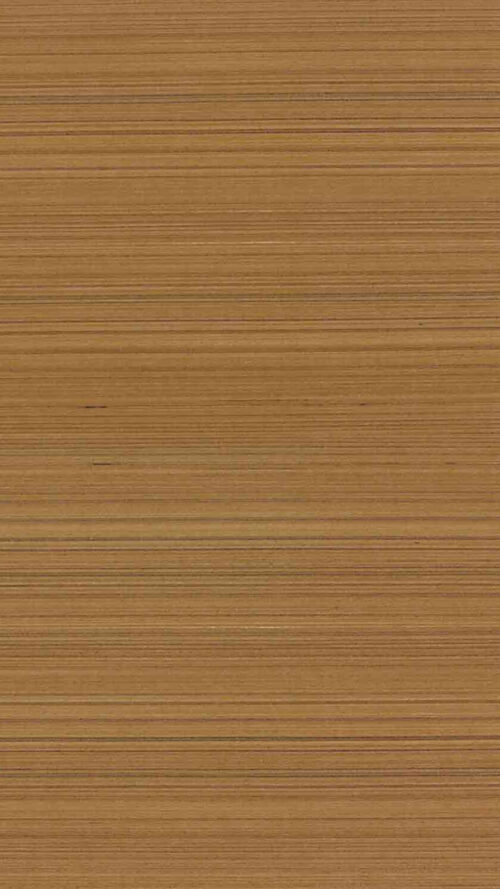 Dusky Bars-T864 (1)