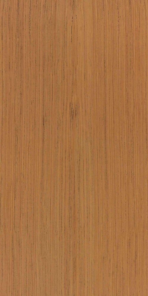 Golden Teak-F779 (1)