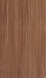 Lapiz 415-VE22