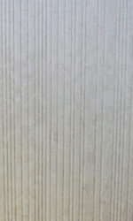 Lapiz E1101-FB26