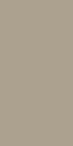Light Beige-161 ZM
