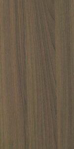 Shimo Ash-4594 WW