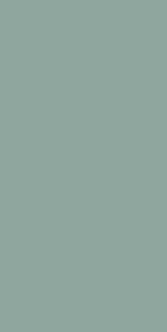 Silver Grey-225 ZM