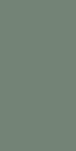 Smoke Green-3284 ZM