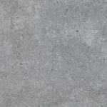 core-dolphin