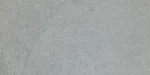 indus-dolphin (1)