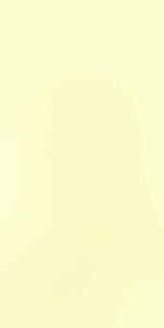 ivory-121-sud-c