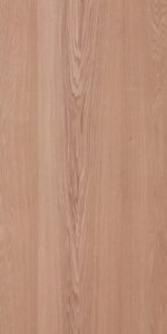 oriental_ash---c