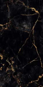 1765447368AFIORA-BLACK_2