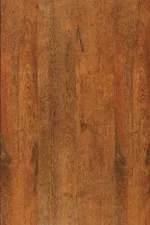 3562-Royal-Oak-WT