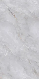 ADAGE-SILVERADAGE-SILVER_1-copy