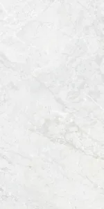 ARGOS-GRAYargos-gray_1
