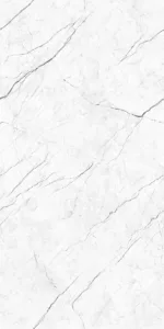 ASTRAS-WHITEASTRAS-WHITE_1