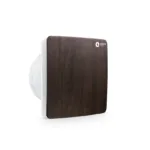 Walnut1