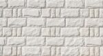 arctic-white (1)