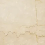 rs=w_360,h_360,cg_true (56)